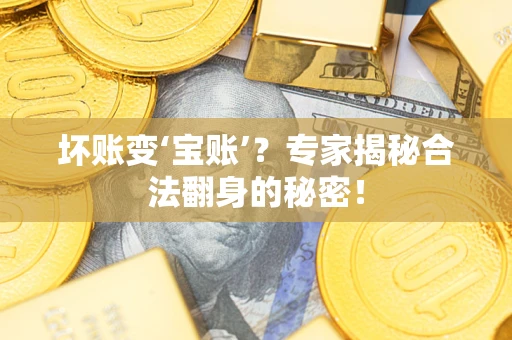 武汉坏账变‘宝账’？专家揭秘合法翻身的秘密！
