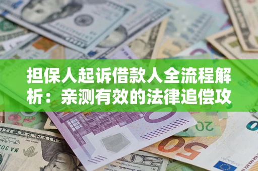 武汉担保人起诉借款人全流程解析：亲测有效的法律追偿攻略