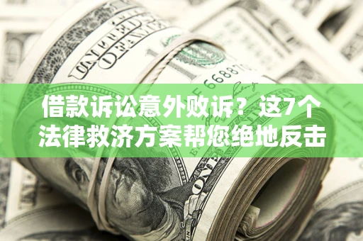 武汉借款诉讼意外败诉？这7个法律救济方案帮您绝地反击！