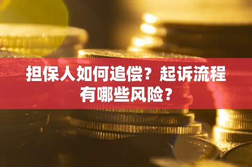 武汉担保人如何追偿？起诉流程有哪些风险？