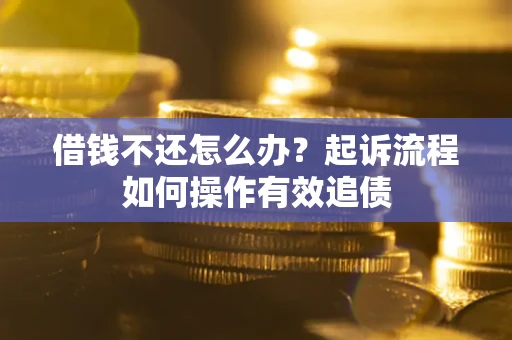 武汉借钱不还怎么办？起诉流程如何操作有效追债