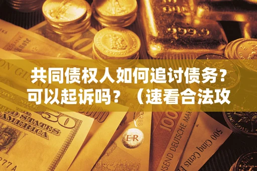 武汉共同债权人如何追讨债务？可以起诉吗？（速看合法攻略）